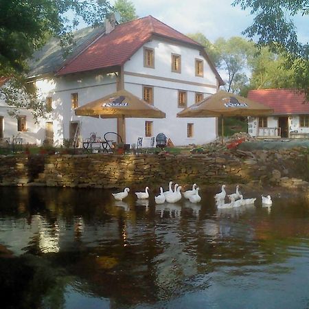 Villa Biofarma Dolejsi Mlyn Kamberk Exterior foto