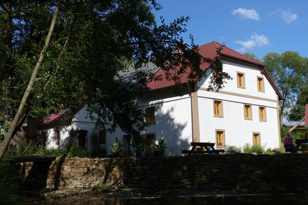 Villa Biofarma Dolejsi Mlyn Kamberk Exterior foto