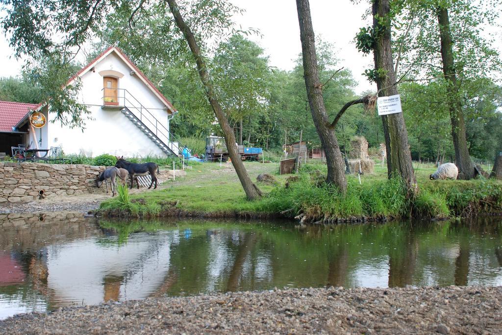 Villa Biofarma Dolejsi Mlyn Kamberk Exterior foto