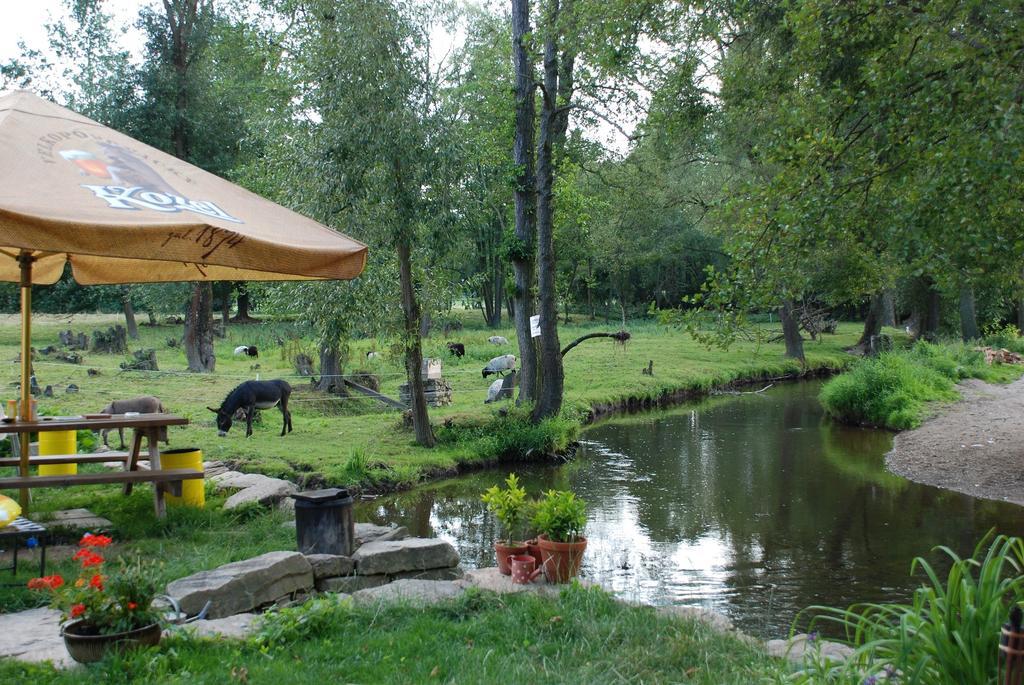 Villa Biofarma Dolejsi Mlyn Kamberk Exterior foto