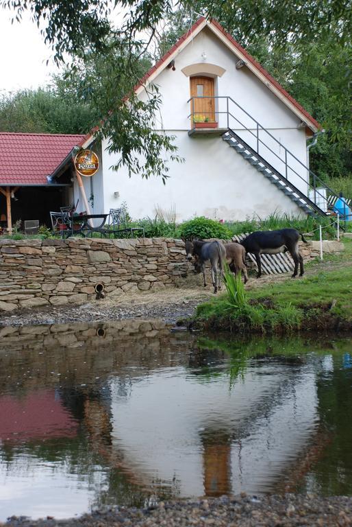 Villa Biofarma Dolejsi Mlyn Kamberk Exterior foto